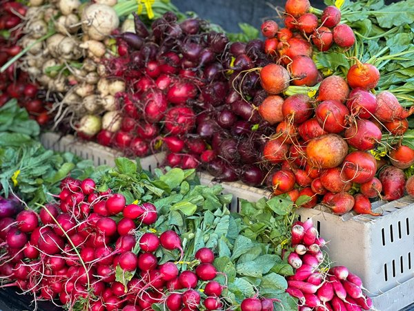 Uncover the best pest management tips to ensure your rural gastropub thrives